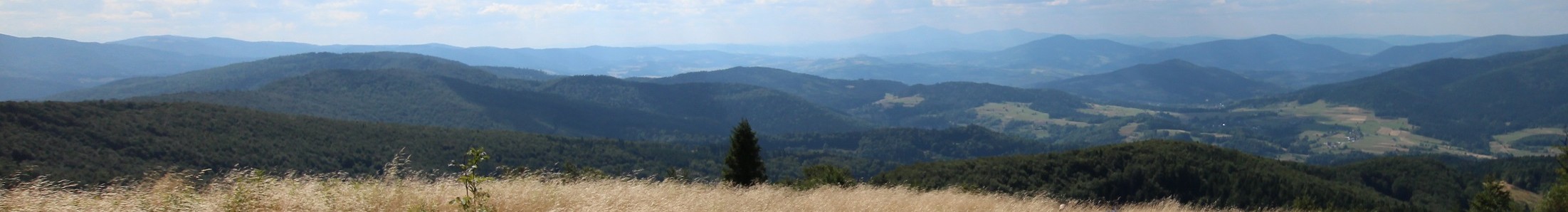 specjalna oferta dla agroturystyk i hoteli